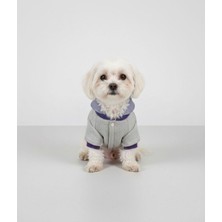 Gri Kapüşonlu Sıcacık Köpek Montu