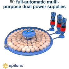 Epilons 80 Yumurta Kapasiteli Otomatik Çiftlik Kuluçka Makinesi : Yumurta, Bıldırcın, Civciv ve Kanatlılar Için Mz-80