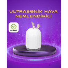 Epilons Renkli Led Işıklı Ve Sürekli Spreyli Masa Nemlendirici