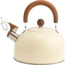 Epilons Paslanmaz Çelik Demlik Karma Renk