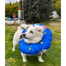 Petris Kedi ve Küçük Irk Köpek Boyunluk-Elizabeth Yakalık Operasyon(Ameliyat)Boyunluk(Hayvan Kafaları)