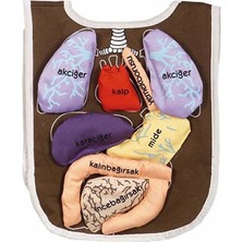 Anadolu Oyuncak AND-5011 Organ Önlüğü Organlar Cırt Bantlı
