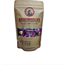 Kademgiller Yakıotu Çayı