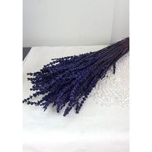 Birlik Lavanta Çiçeği Şoklanmışmor