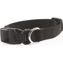 Braventa Collection Jolly Köpek Boyun Tasması (M)