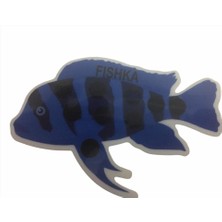 Braventa Collection Akvaryum Yapışkan Frontoza Balığı Derece