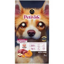 Braventa Collection Petiva Yavru Köpekler Için Kuzu Etli Kuru Köpek Maması (7 Kg, Kuzu)