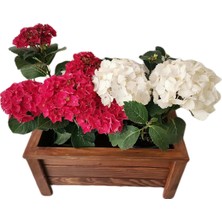 Braventa Collection Ahşap Saksı Orta Boy 50X30X27