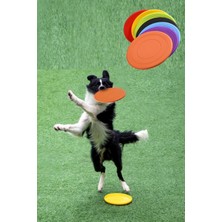 Braventa Collection Tineke Dayanıklı Silikon Frizbi Köpek Oyuncağı Esnek ve Güvenli Yakalama Oyunu Diski 17.5 cm 1 Adet