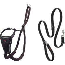 Braventa Collection Halti No Pull Yemek Takımı ve Antrenman Tasması Kombi Paket, Stop Dog Pulling On Walks With Halti, I
