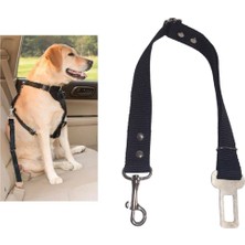 Braventa Collection Tarix Köpek,kedi Araç Emniyet Kemeri Tasması (Siyah)