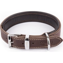 Braventa Collection Hakiki Yağlı Deri Köpek Tasması, Yumuşak Deri Iç Kısım, Ultra Dayanıklı ve Konforlu Tasma, Renk ve B