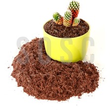 Braventa Collection Hindistan Cevizi TORFU%100 Doğal Torf - Cocopeat Hindistan Cevizi Lifi - Doğal Bitki Toprağı 3 Lt