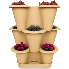 Braventa Collection 3 Katlı Şanslı Yonca Tasarımlı Dekoratif Saksı Seti, 26.5 x 26.5 Cm, Çiçek ve Bitki Sebze Yetiştirme