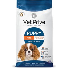 Braventa Collection Vetprive Dog Puppy Mini With Salmon 3 kg