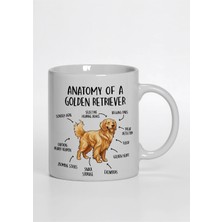Braventa Collection Mug Girl - Golden Retriever Anatomy Köpekli Kupa Fincan Serisi Hayvan Temalı Kupalar-Beyaz
