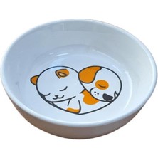 Braventa Collection Glipet Yıkanabilir Seramik Mama ve Su Kabı 14 cm 250 ml Pupyorange No : 4