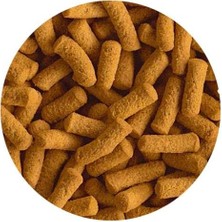 Braventa Collection Tetra Cichlid Sticks Doromin 500GR - Kovadan Bölme