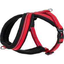 Braventa Collection Company Of Animals Halti Comfy Göğüs Tasması, L Kırmızı
