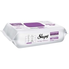 Braventa Collection Easy Clean Orkide Bahçesi Yüzey Temizlik Havlusu&mendili 12X100 (1200 Yaprak)