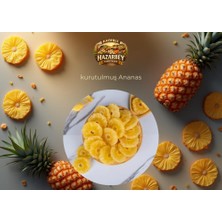 Kurutulmuş ANANAS100 gr
