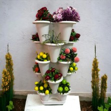 Braventa Collection 5 Katlı Şanslı Yonca Kule Saksı Seti Çiçek Bitki Sebze Meyve Salon Mutfak Banyo Bahçe Saksı Seti (Be