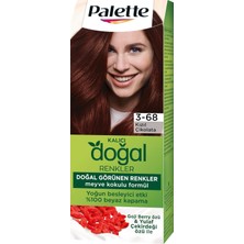 Braventa Collection Palette Kalıcı Doğal Renkler 3-68 Kızıl Çikolata Goji Berry Özü & Yulaf Çekirdeği Özlü Saç Boyası