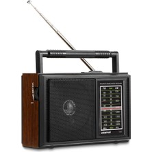 Braventa Collection Polosmart FS74 Nostaljik Radyo Siyah