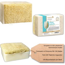 Braventa Collection Doğal Kabak Lifli Pirinç Sabunu 120 gr Tüm Cilt Tipleri Için Beyazlatma Etkili E ve B Vitaminli