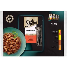 Braventa Collection Sheba Yetişkin Etli Çeşitler 4'lü Paket Yaş Mama 340 G