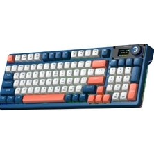 Braventa Collection Game Power Gasket Elite x Rgb Wireless/bluetooth/kablolu Mekanik Hot-Swap Yağlı Switch Gasket Klavye