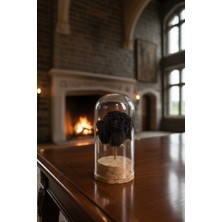 Mussa Halfetiden Karagül Fanus