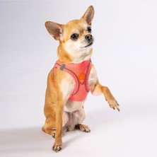 Braventa Collection Pawstar Neon Pembe Air-Mesh Göğüs Tasması Kedi Köpek Göğüs Tasması Neon Pembe Xl