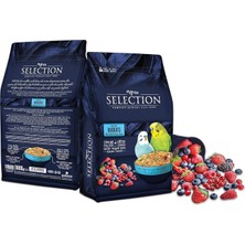 Braventa Collection Myyem Selection 10 Çeşit Gerçek Meyve Parçalı Muhabbet Yemi 1kg