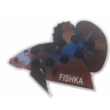 Braventa Collection Akvaryum Yapışkan Beta Balığı Derece