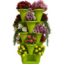 Braventa Collection 5 Katlı Şanslı Yonca Kule Saksı Seti Çiçek Bitki Sebze Meyve Salon Mutfak Banyo Bahçe Saksı Seti ()