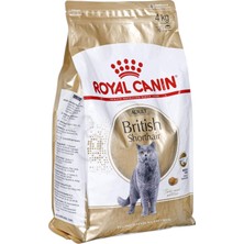 Braventa Collection British Shorthair Adult Kedi Maması, 4 kg