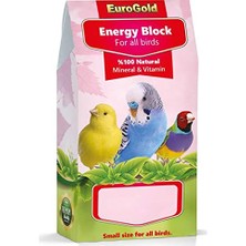 Hype Store Eurogold Küçük Kuşlar Için Enerji Blok Tekli