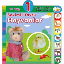 Kuzgun Ticaret Yaş Sevimli Yavru Hayvanlar (1+Yaş)