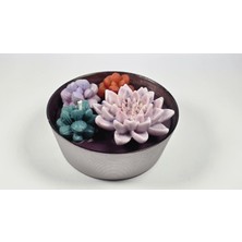 Mitos Space Renkli Sikulent Mum