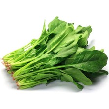 Kuzgun Ticaret Ispanak Tohumu 25 gr