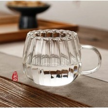 PremiumPort 350ML Çizgili Desenli Isıya Dayanıklı Cam Kupa Kulplu Bardak