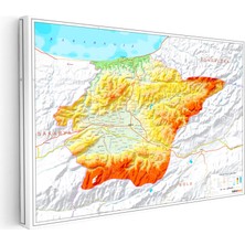 Tablofest Yatay Kanvas Tablo Düzce Doğal Oluşum Harita Tablosu Ev Ofis Duvar Dekoru