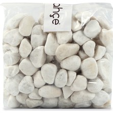 PremiumPort Beyaz Dolomit Taş 1 Kg, Bahçe ve Teraryum Süs Taşı, 4-6 cm