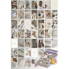 PremiumPort Vanilya Temalı 45 Parça Duvar Poster Seti, Özel Tasarım Kutuda Oda Dekoru