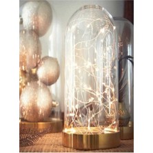 PremiumPort LED Işıklı Gold Ters Fanus, 3 Metre Peri Tel, Gün Işığı, Dekoratif Teraryum