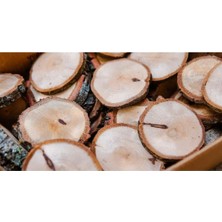 PremiumPort Meşe Ağacı Dilimi 15'li Bardak Altlığı, Doğal ve Şık Dekorasyon Parçası