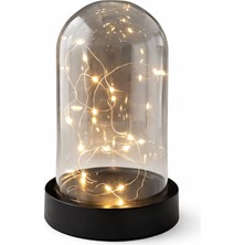 PremiumPort LED Işıklı Ters Fanus, 3 Metre Peri Tel Gün Işığı, Siyah Teraryum Dekoru