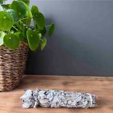 PremiumPort Doğal Adaçayı Tütsü, Büyük Boy, Rahatlatıcı ve Ferahlatıcı Aromasıyla