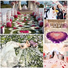 MiraLive Beyaz Renk Gül Yaprağı Şekilli Konfeti 5 Paket 500 Adet